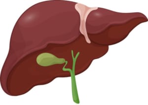 chua ung thu gan hieu qua