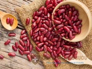 Đậu đỏ có chứa hàm lượng dinh dưỡng cao
