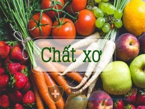 Chất xơ