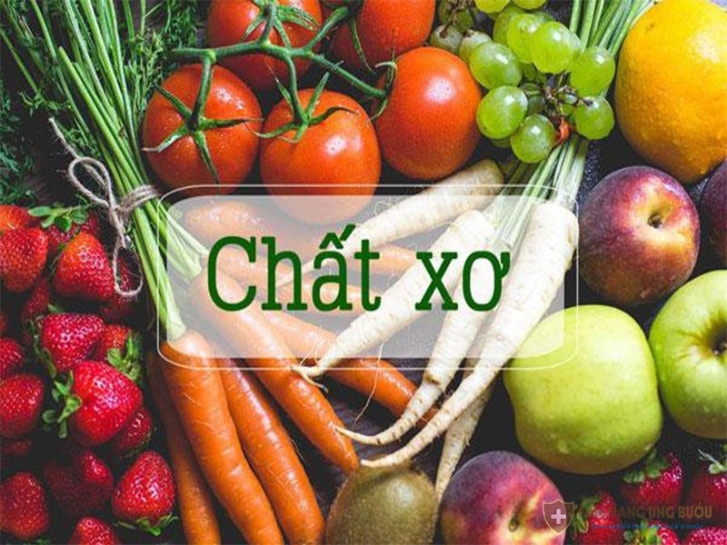 Chất xơ