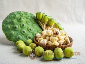 Hàm lượng dinh dưỡng có trong hạt sen