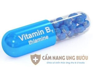 Vitamin B1 rất quan trọng đối với cơ thể.