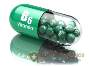 Vitamin B6 là dưỡng chất vô cùng quan trọng đối với sức khỏe