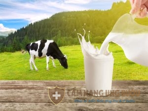Ăn chay uống sữa bò được không