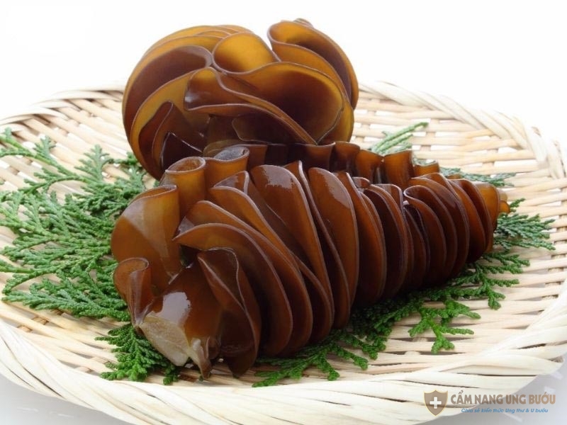 Fucoidan từ tảo nâu Mozuku có tác dụng tốt với sức khỏe