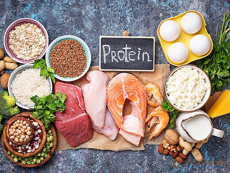 Protein rất cần thiết với bệnh nhân ung thư tinh hoàn